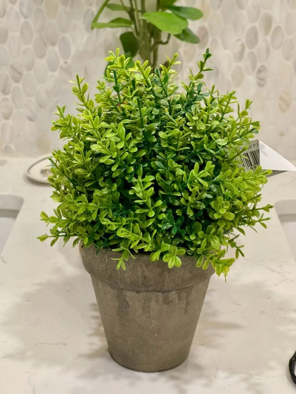 Nearly Natural Faux Boxwood + Natural Life Planter Cover Decor Bundle-NEW